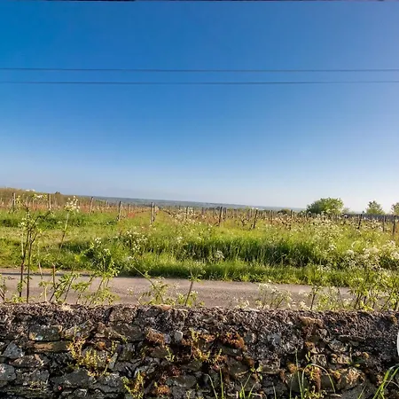 Feriehus Entre Loire Et Layon, Terrasse, Jardin, Parking, Proche D'angers, Ideal Pour Couples - Fr-1-622-71 *