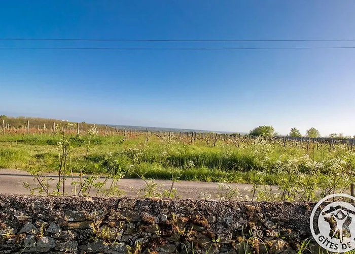 Сasa de vacaciones Entre Loire Et Layon, Terrasse, Jardin, Parking, Proche D'angers, Idéal Pour Couples - Fr-1-622-71 *